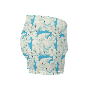 Polar II Boxer Briefs