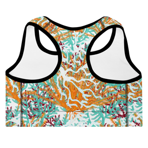 Coral Series 2 Padded Sports Bra