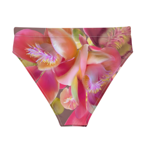 Cannonball Flower Recycled High-waisted Bikini Bottom (Light Wood)