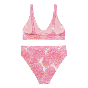 Pink Ginger Recycled High-waisted Bikini