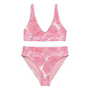 Pink Ginger Recycled High-waisted Bikini
