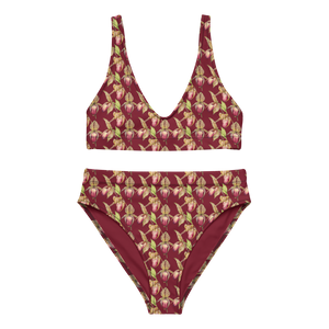 Rothschild Orchid Recycled High-waisted Bikini (Burgundy)